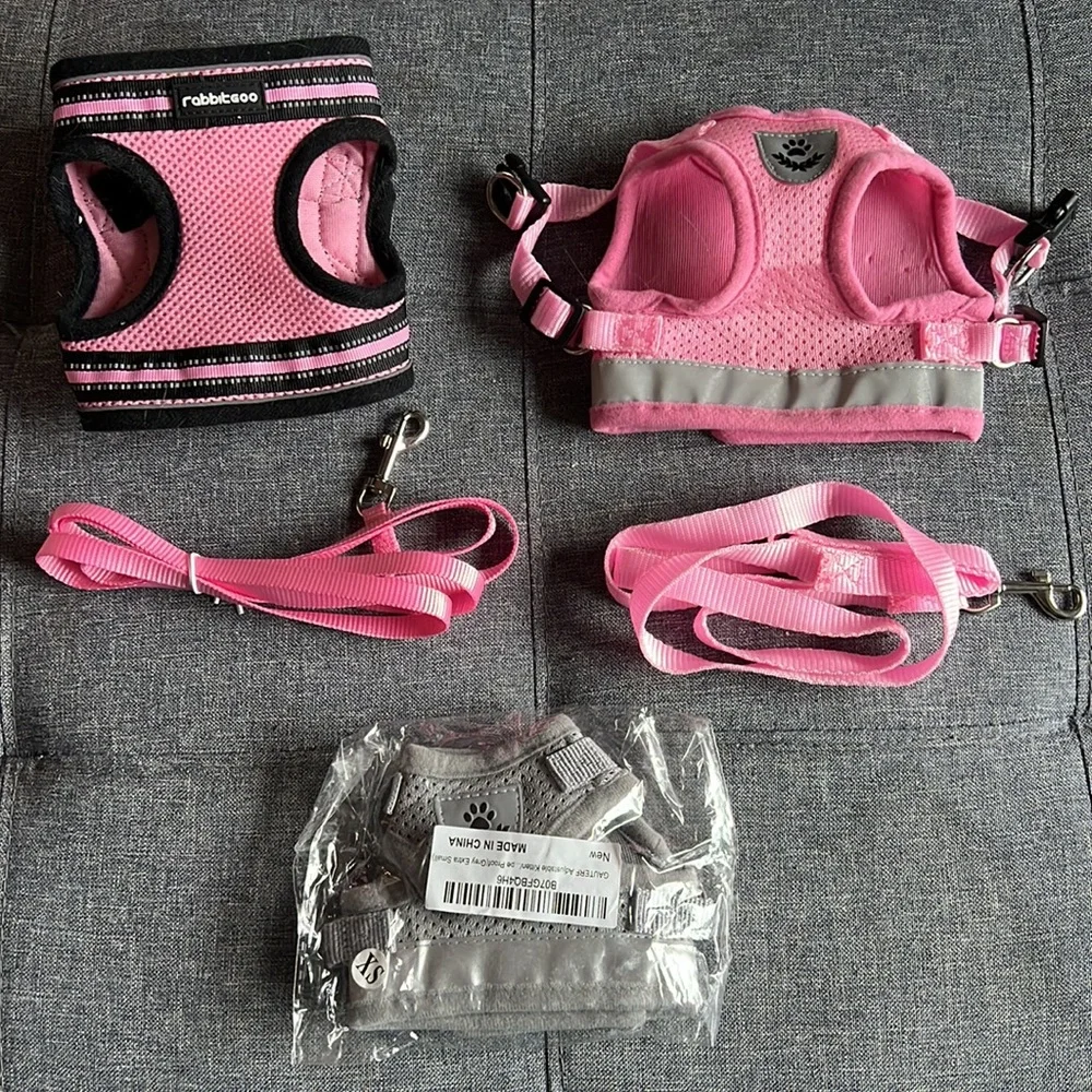Rabbitgoo and Supet bundle! Small Cat and Dog harness set